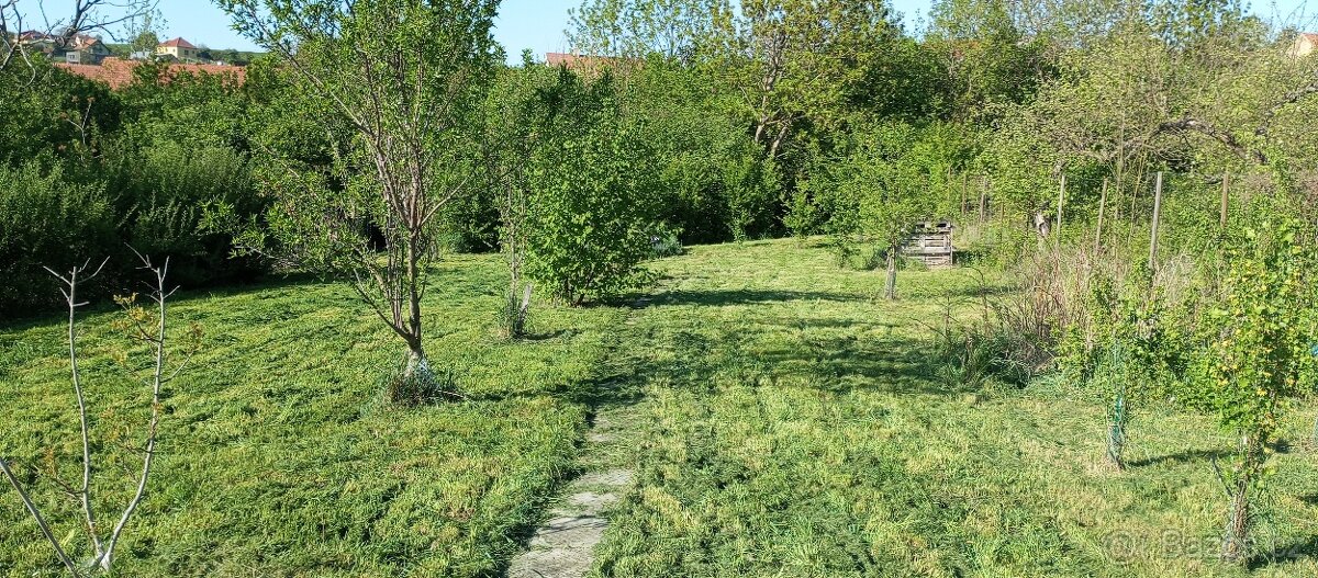 Zahrada a další investiční pozemky 3674m2 - 8