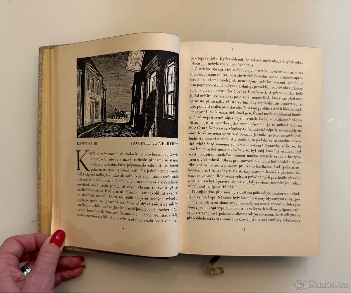 Bílá velryba - Herman Melville - 8