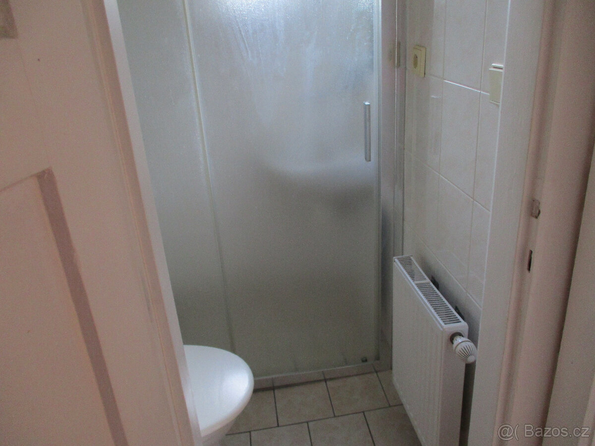 Pronájem bytu 1+1 35m2 v cihlovém domě v Opavě - 8