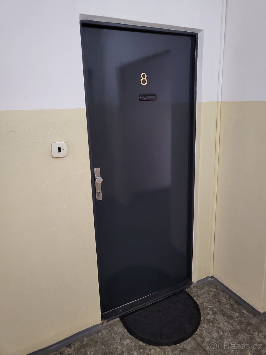 Pronájem bytu 1+KK v Plzni - Bory - 8