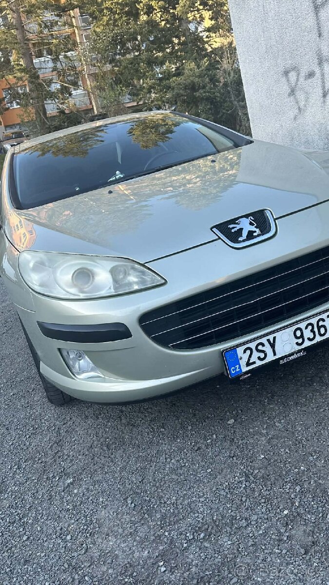 Peugeot 407 - 8
