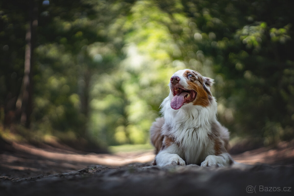 Meopta Meostigmat 77/1,7 Sony E a další - 8