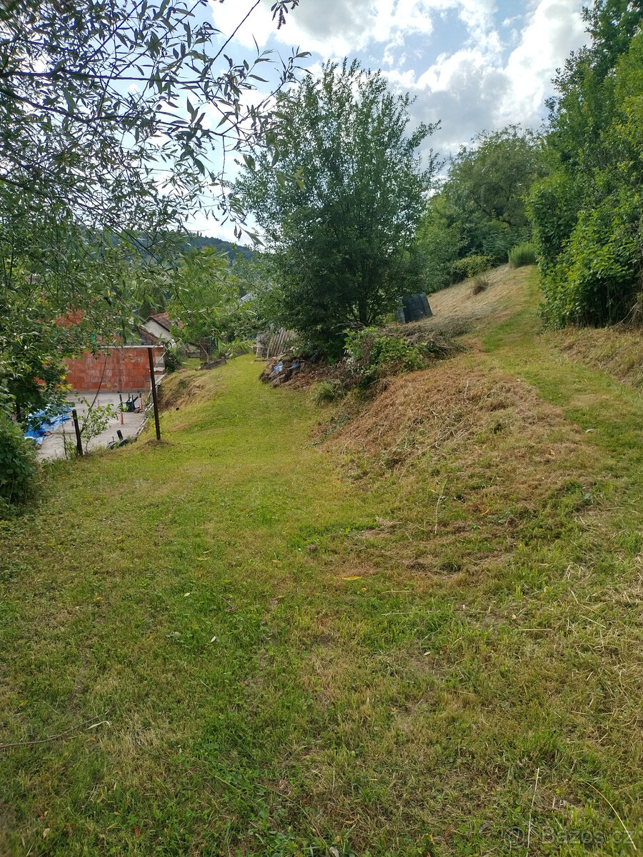 RD s pozemkem 6175m2 Závišice - 8