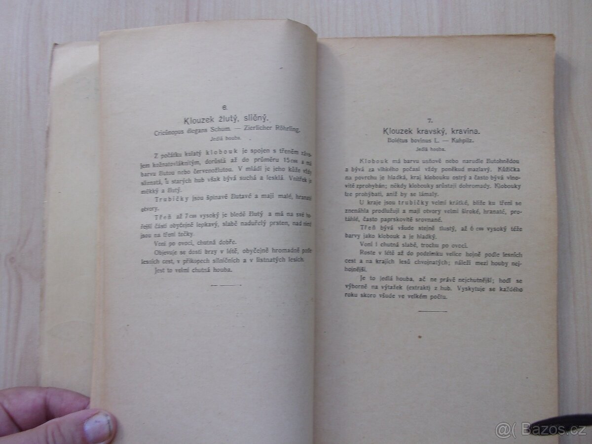 JAN JOHN - PŘÍRODOPIS HUB - HOUBY JEDLÉ A JEDOVATÉ - 8