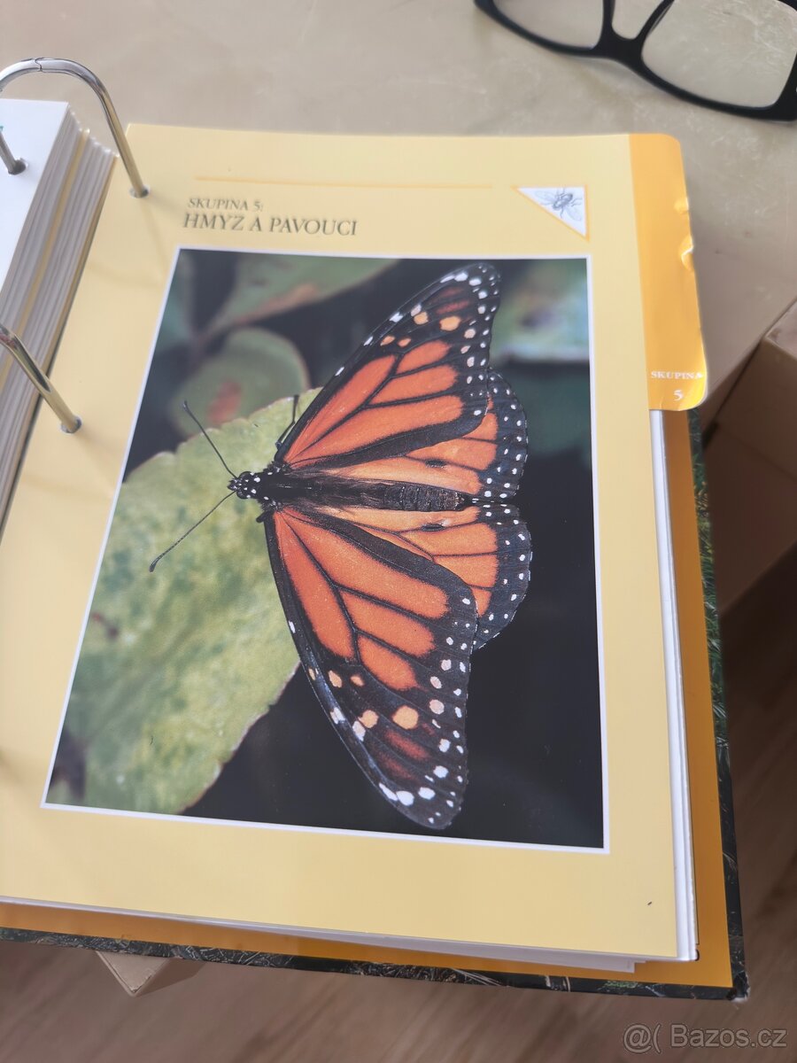 Encyklopedie Zvířat - 8