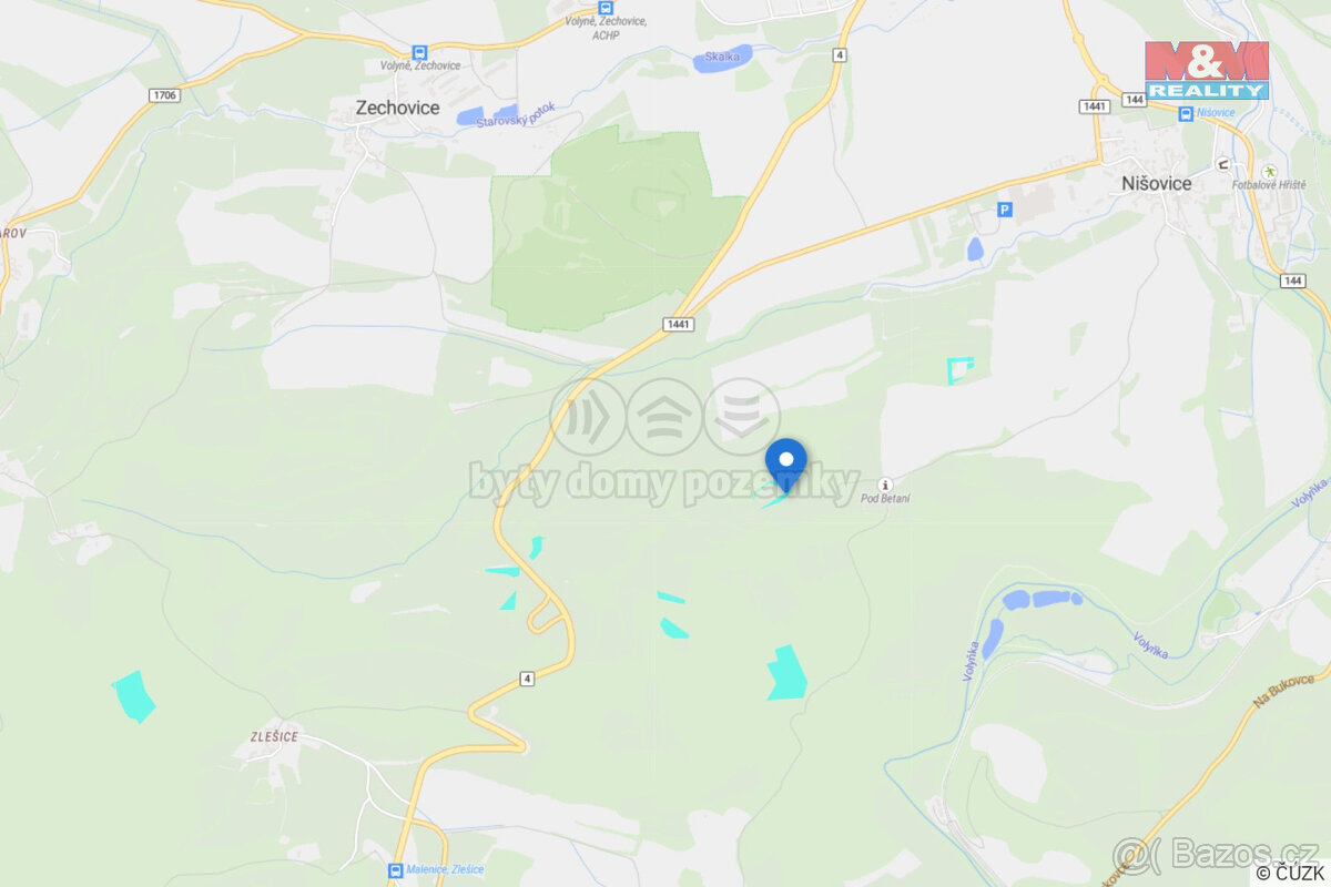 Prodej lesa, 42761 m², Nišovice - 8