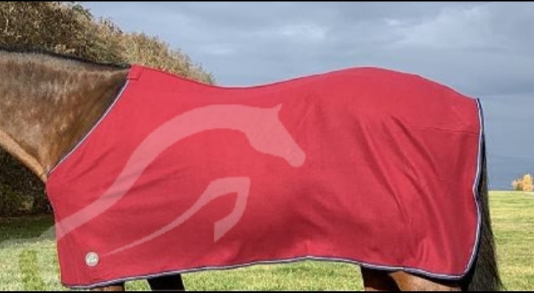 Odpocovací deka Equiservis 145 a 155cm - 8