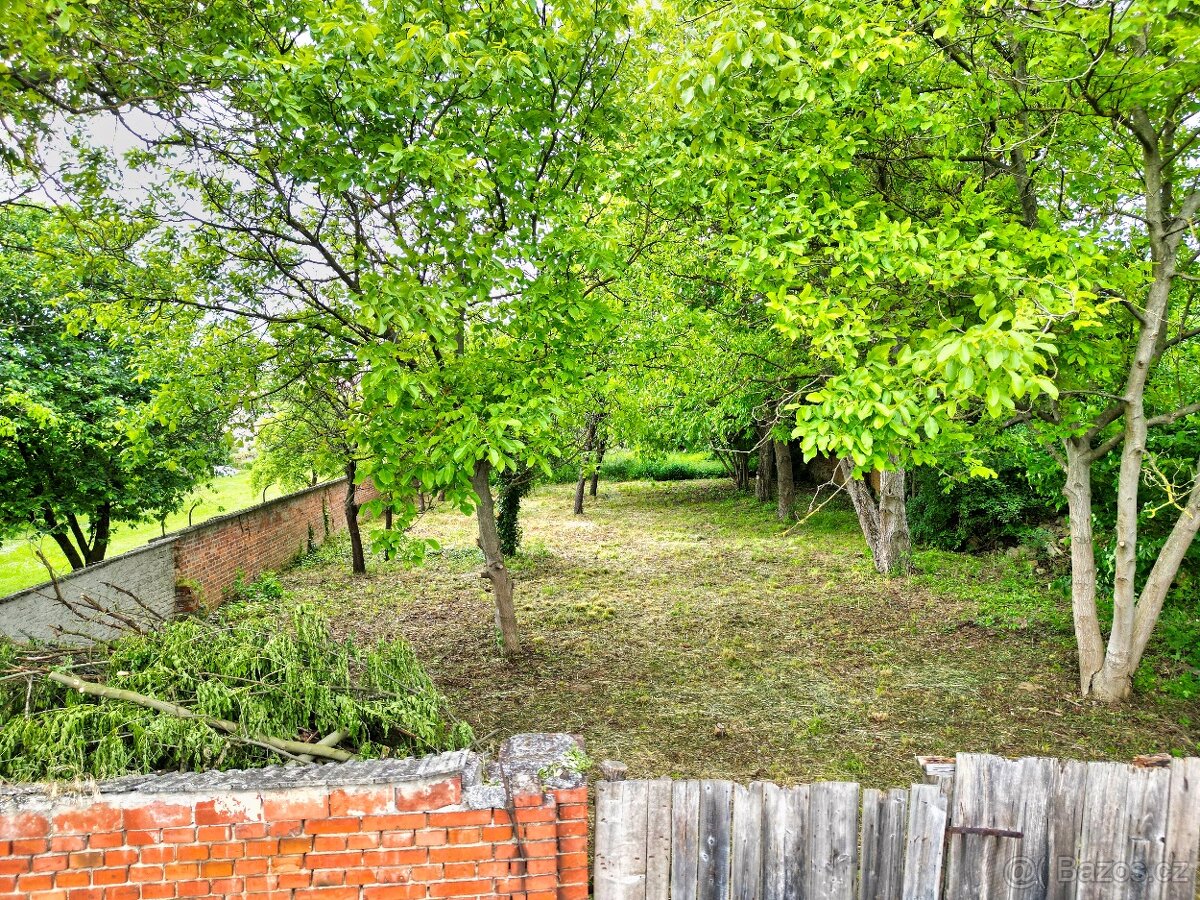 Prodej zahrady u Olomouce, 800 m2, Krčmaň - 8
