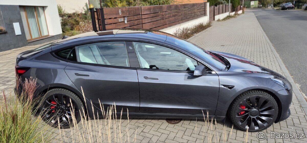 Tesla model 3 Performance, 8/2022, AMD, DPH - 8