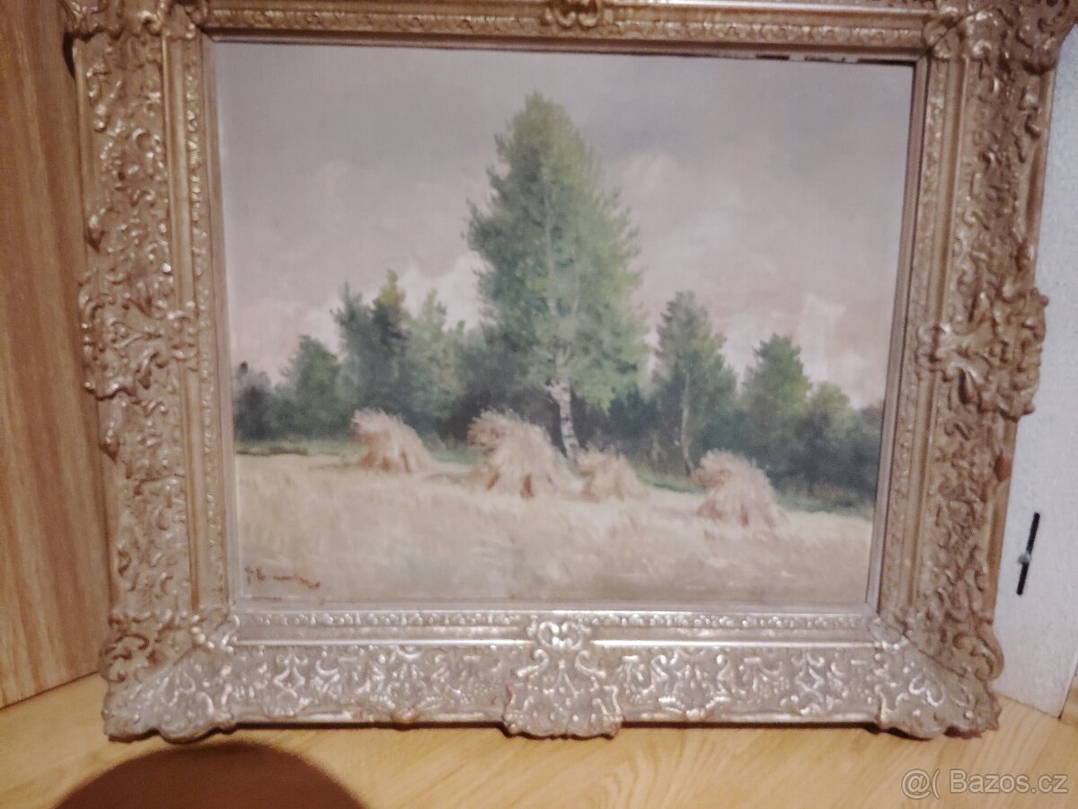 Obrazy pozůstalost - 8