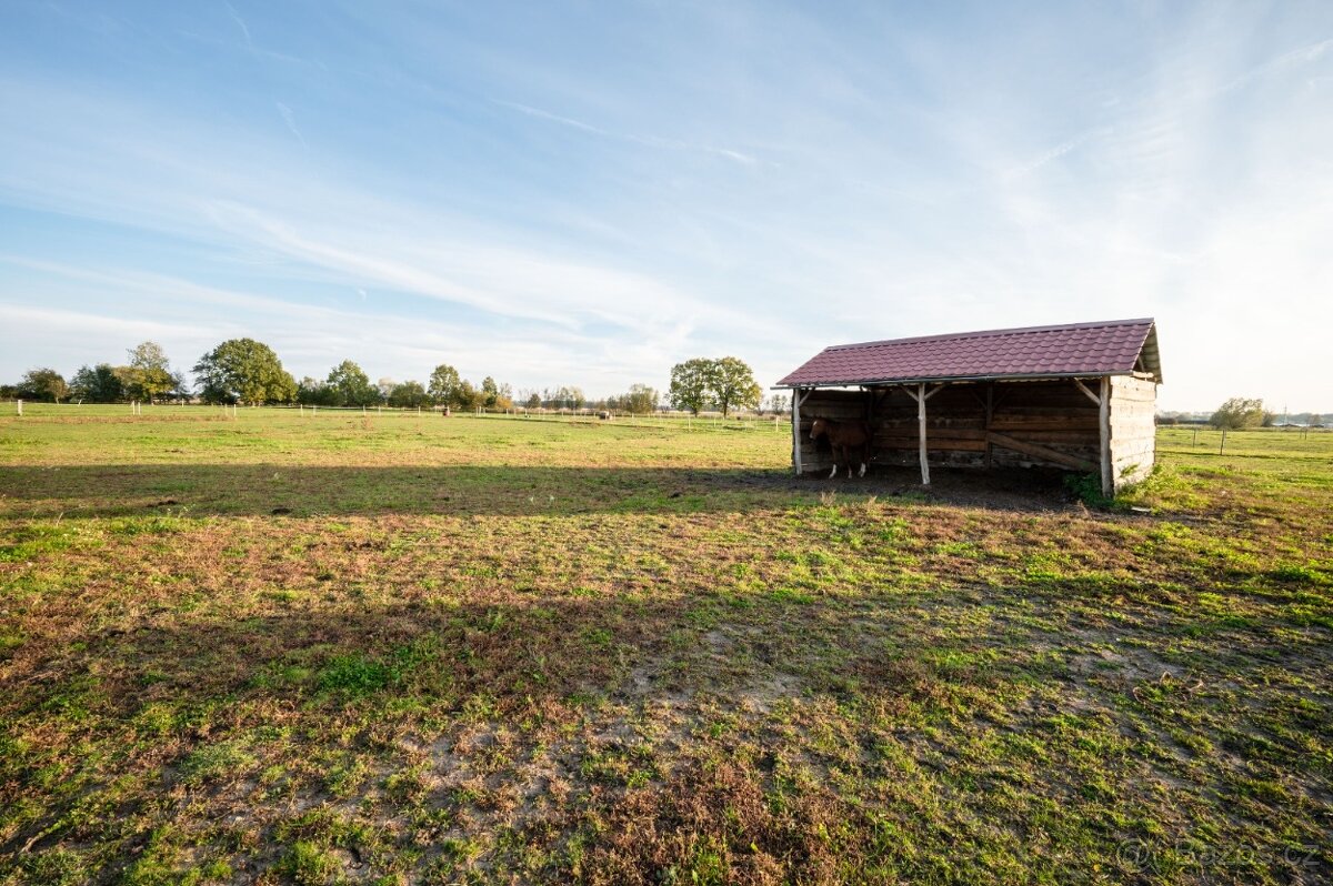 Pastevní ustájení - 8