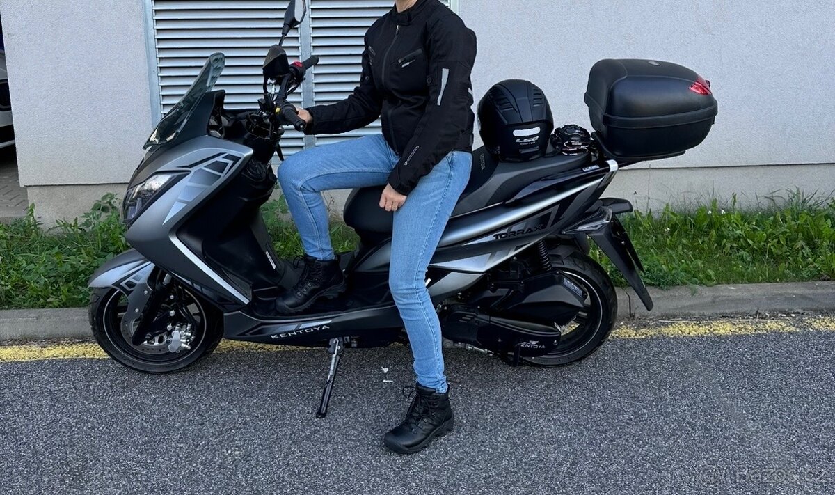 KENTOYA Maximus, Torax - 8