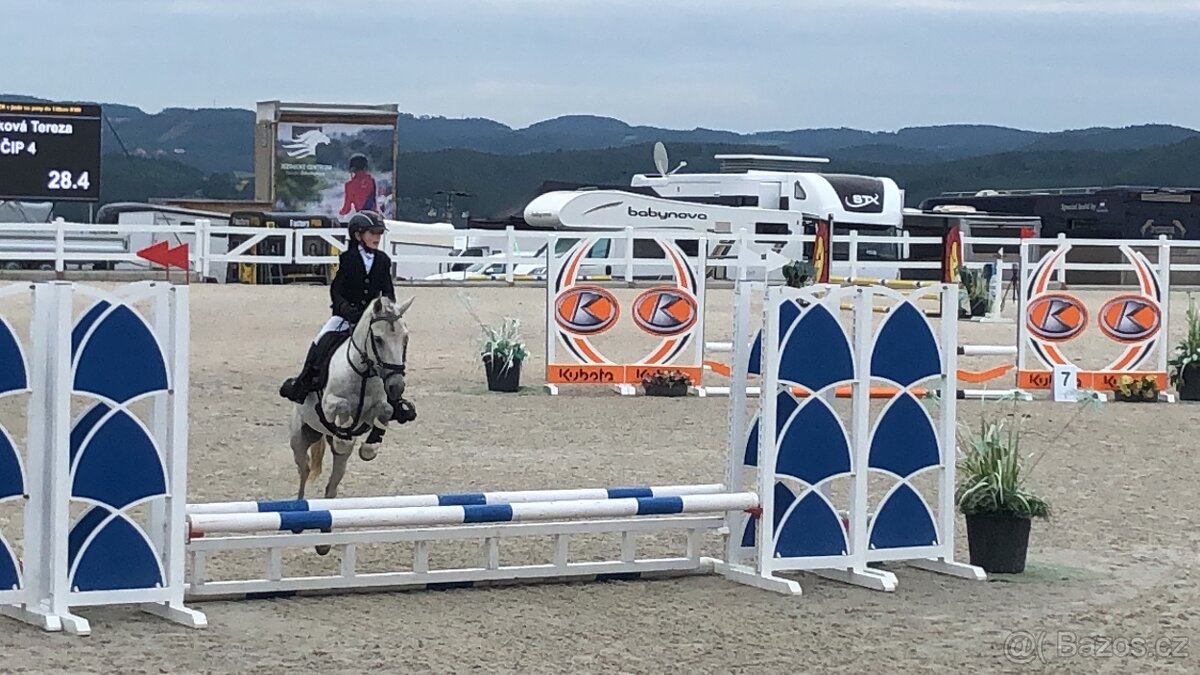 TOP pony na prodej - 8