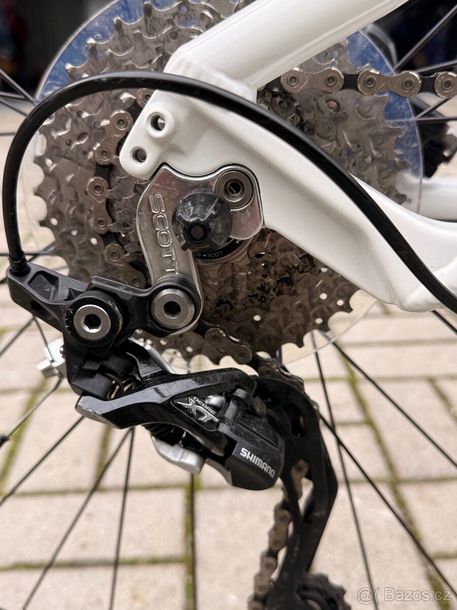 Kolo scott scale - 8