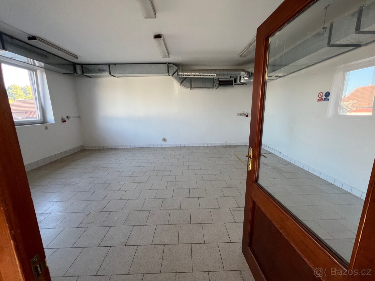 Pronájem bytových a nebytových prostor - 8