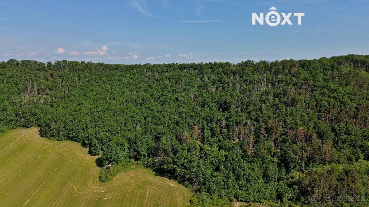 Prodej pozemek Lesy, 3149㎡ - 8