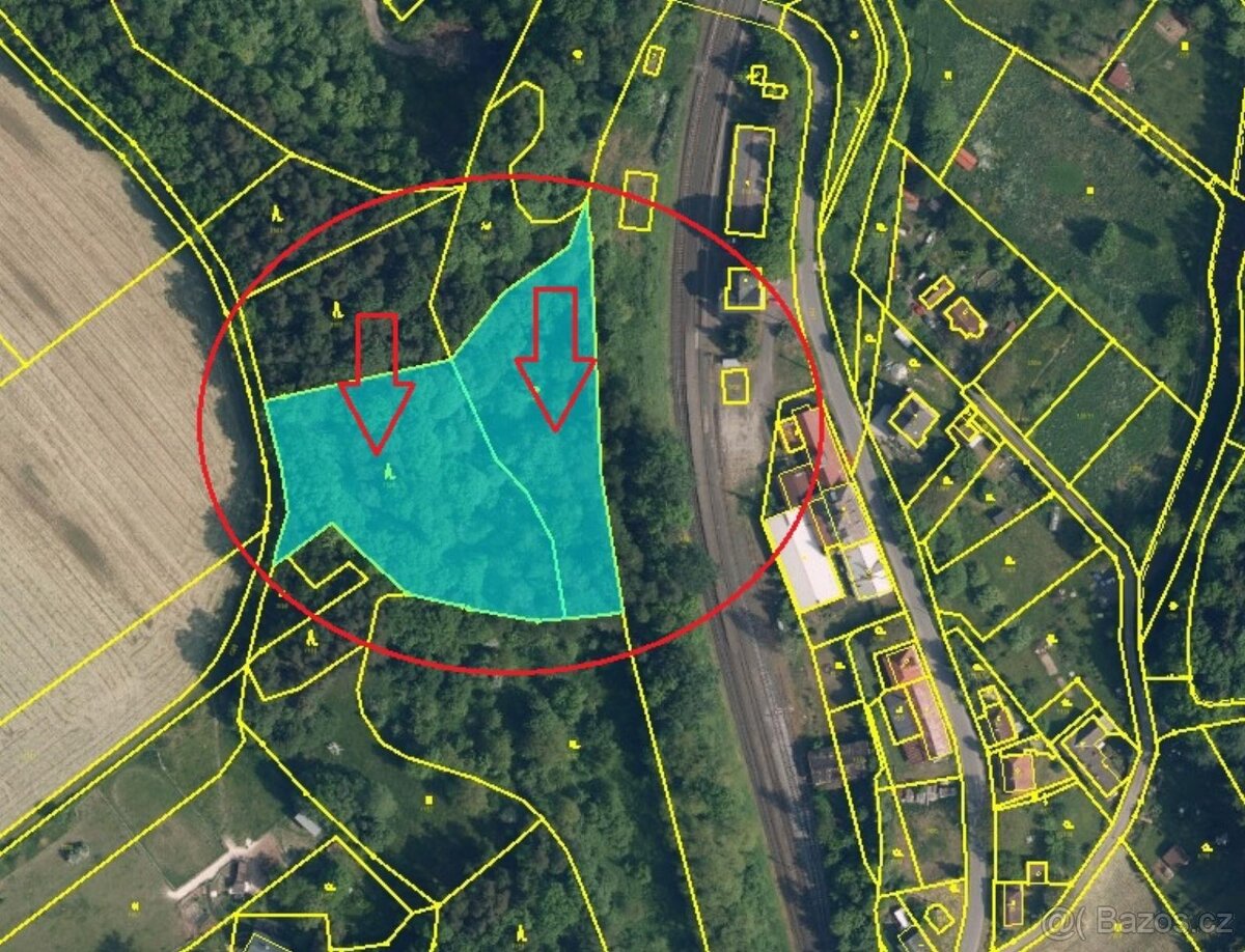 Prodej lesního pozemku v k.ú. Radimovice u Sychrova - 8