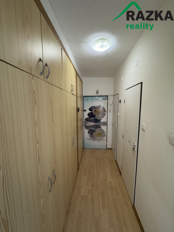 Prodej bytu 2+1(53m2), Jana Sladkého Koziny, Tachov - 8