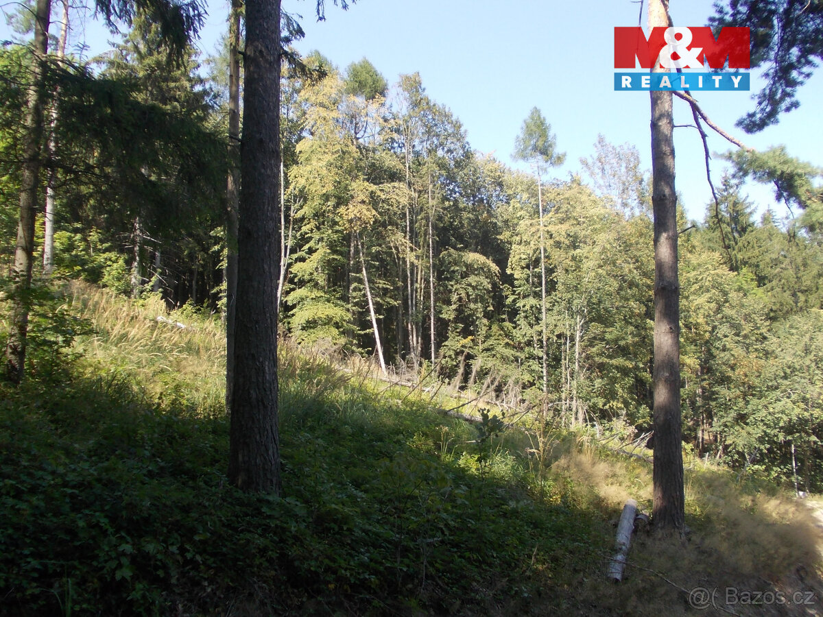 Prodej stavebního pozemku, 3955 m², Pstruží - 8