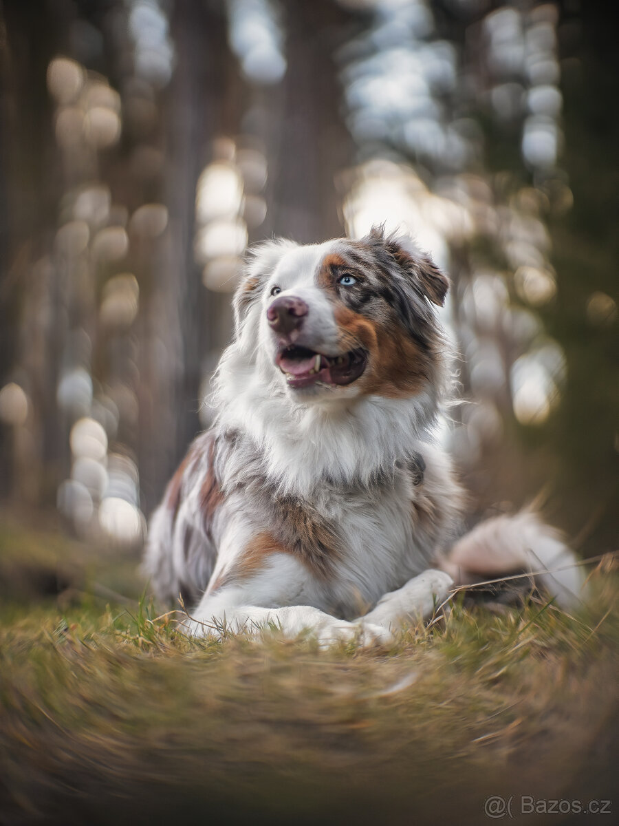 Meopta Meostigmat 50/1 Micro 4/3 - 8