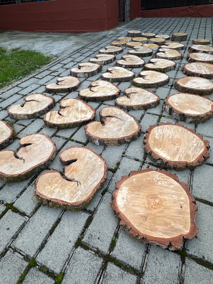 Držák jmenovek bříza - 8