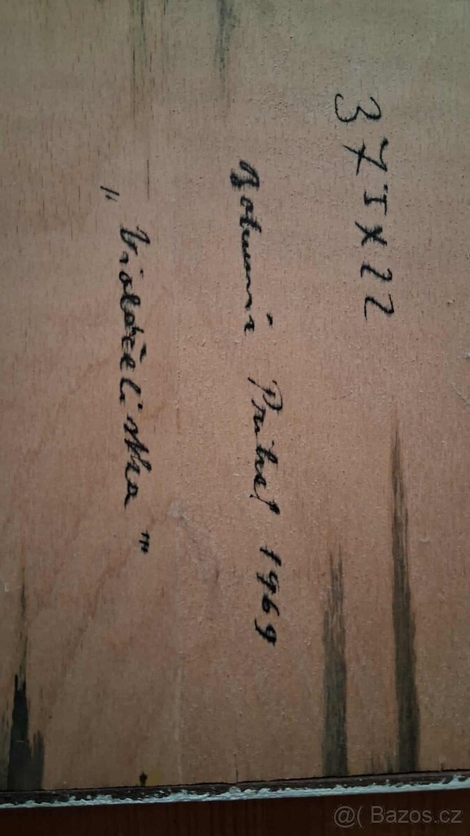 Bohumír Prihel - Violončelistka - 8