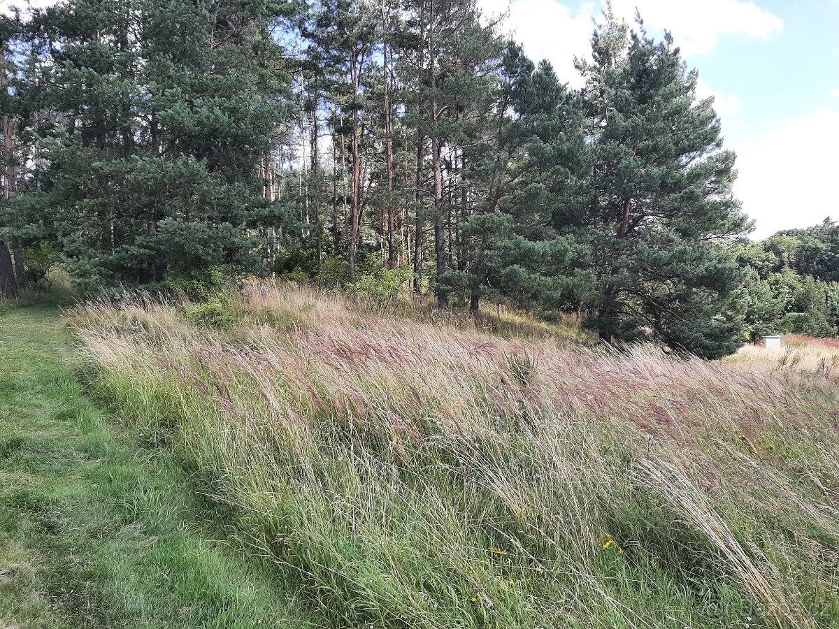 Stavební pozemek 1365m2 u přehrady Orlík - 8