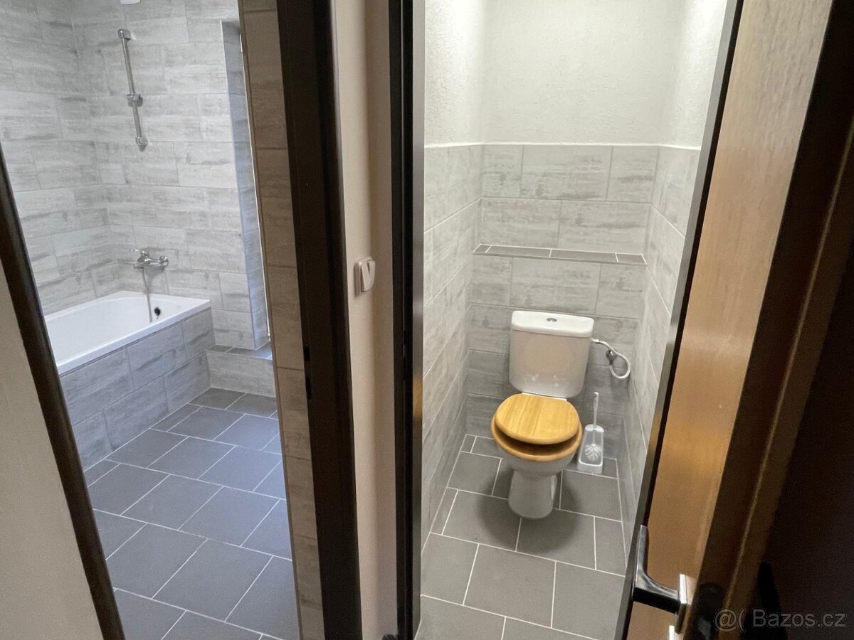 Pronájem bytu 3+KK - 8