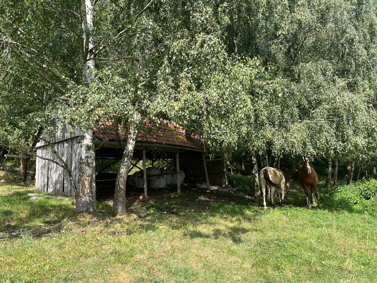 Nabízíme ustájení - 8