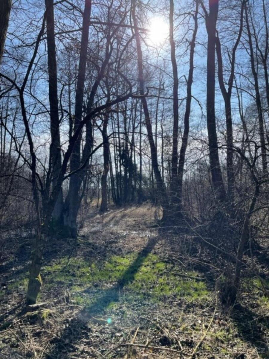 Prodám pozemky v k.ú. Starý Ples - 8