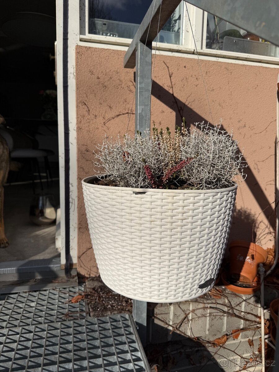 Truhlíky Lechuza Cottage - 8