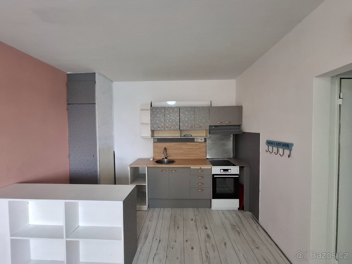 Pronájem 2+0 - 8