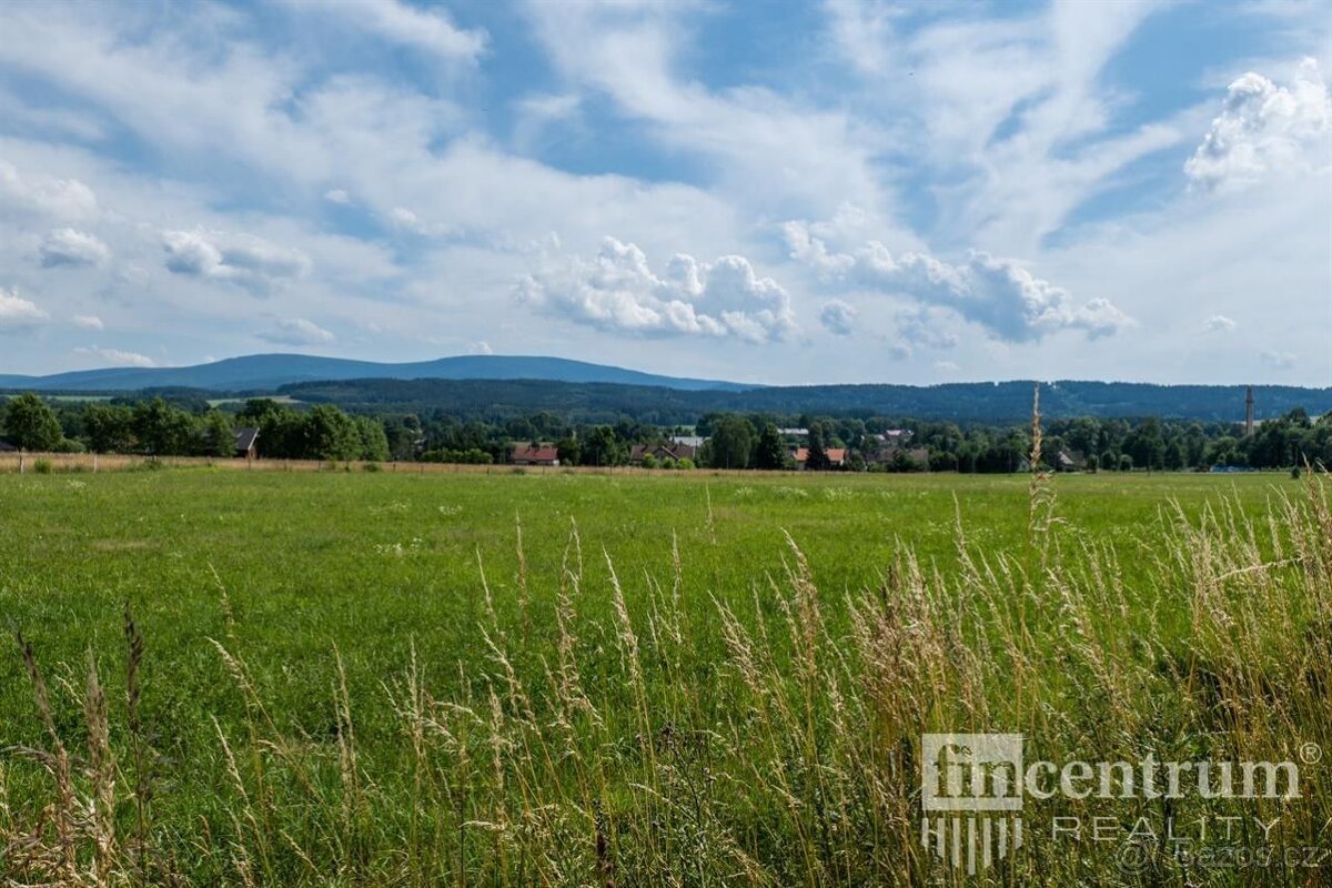 Prodej louky 53774 m2, Jindřichovice pod Smrkem - 8