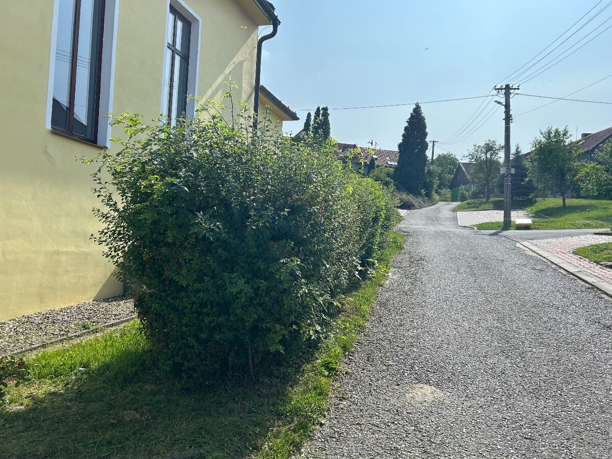 Údržba zeleně Zlínský kraj - 8