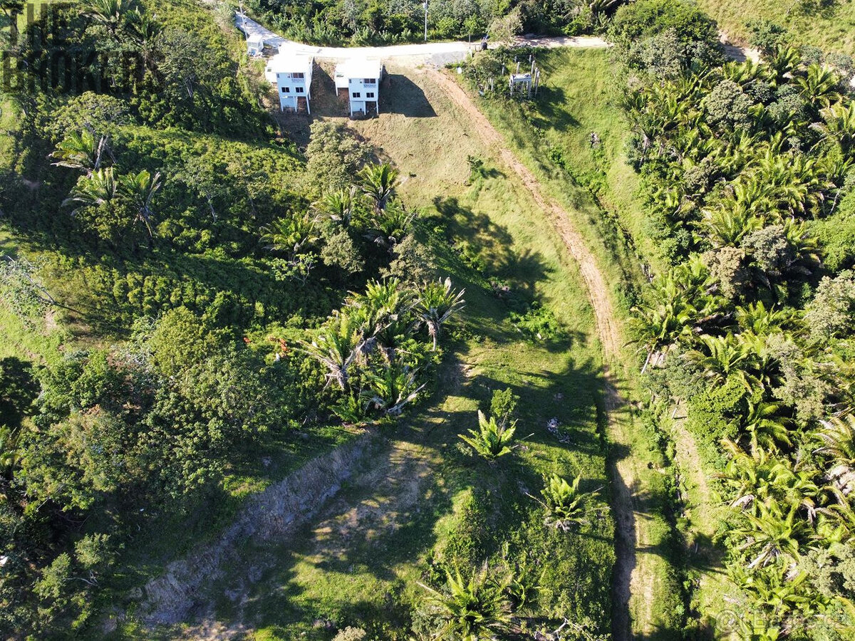 Falcon Valley Lot#3 Santos Guardiola, Roatan - 8