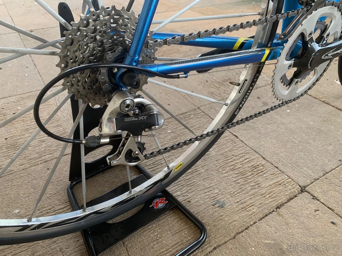 Olmo - 8