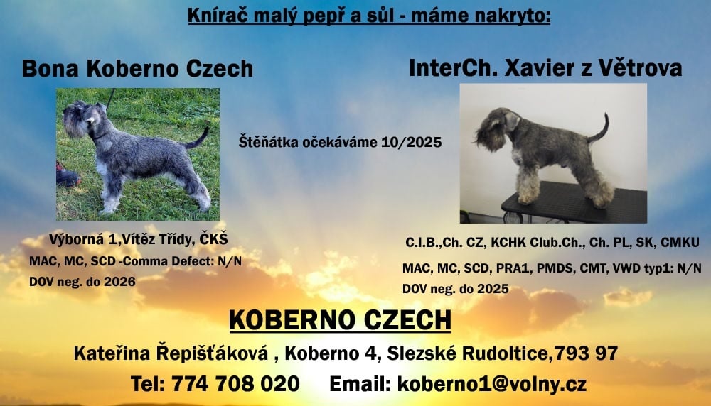 Knírač malý pepř a sůl s PP - 8