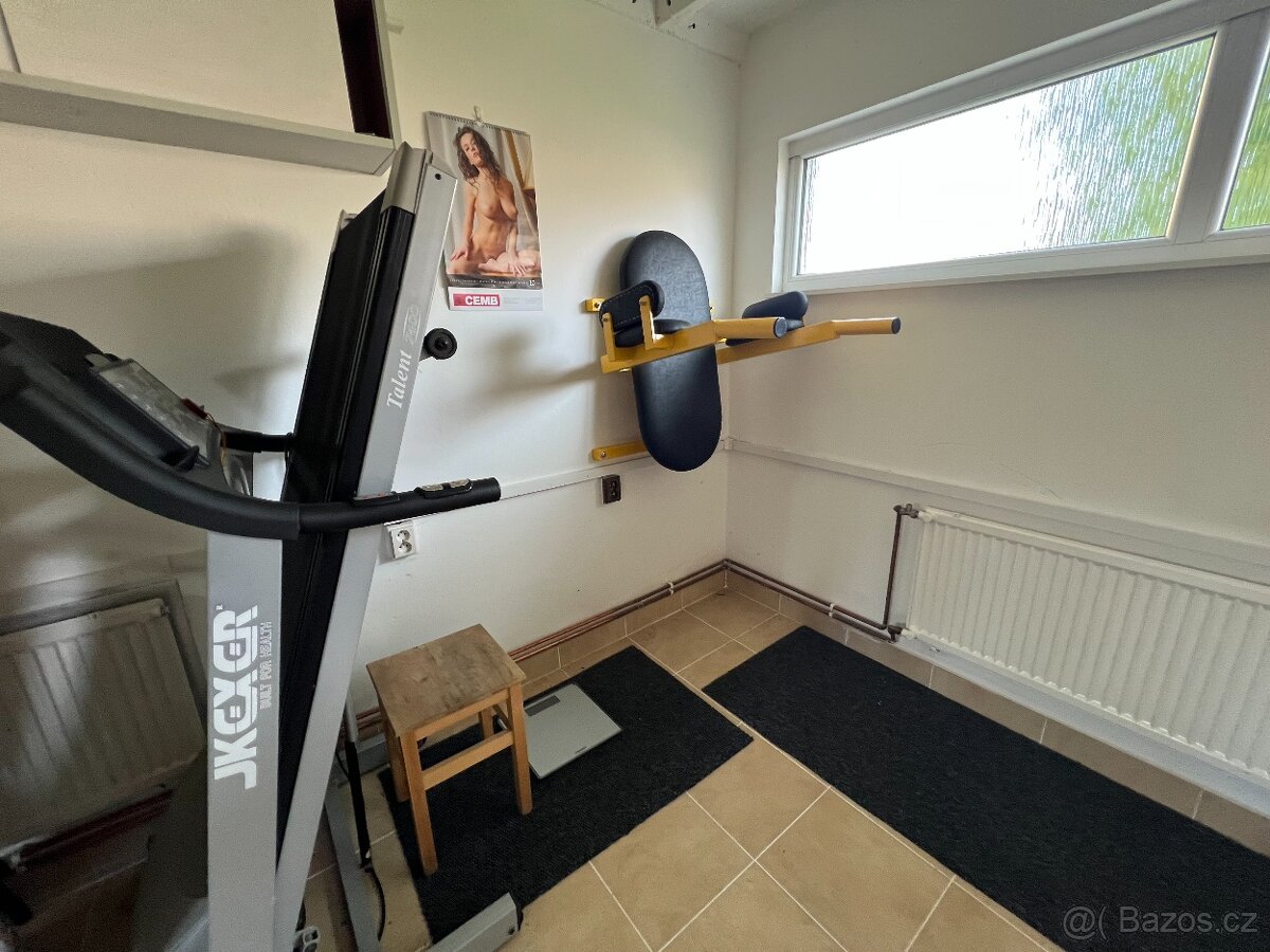 Pronajmeme dvojgaráž-posilovnu - 8