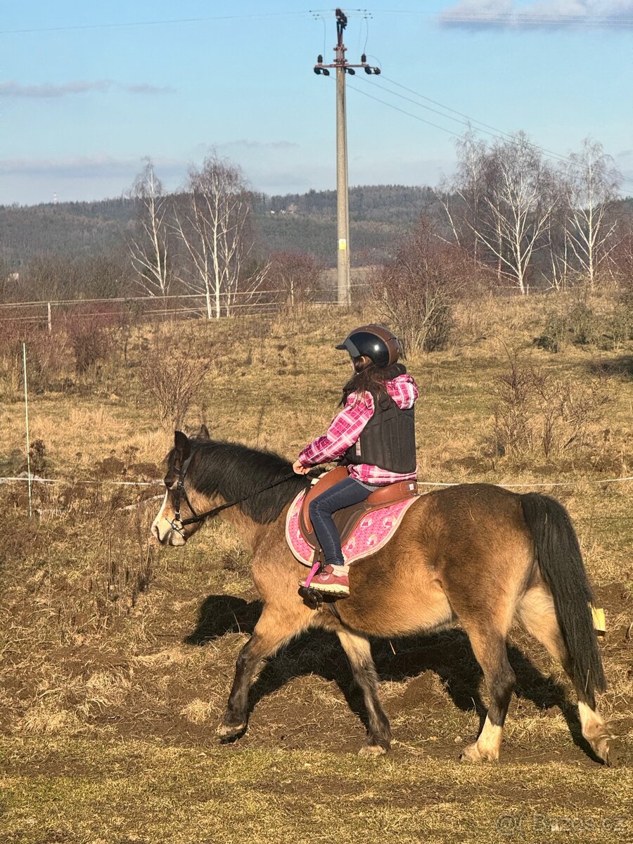 První pony pro děti - 8
