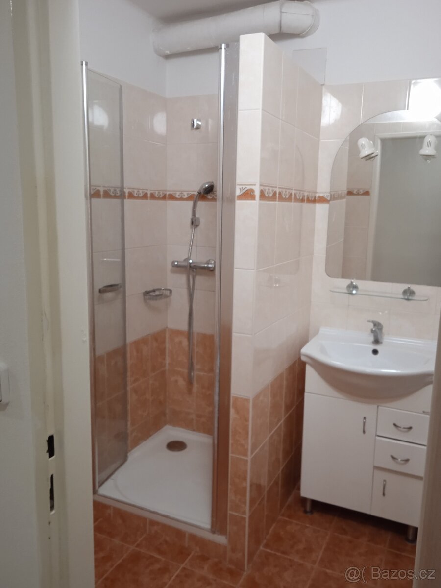 Pronajmu 2+1 - 8