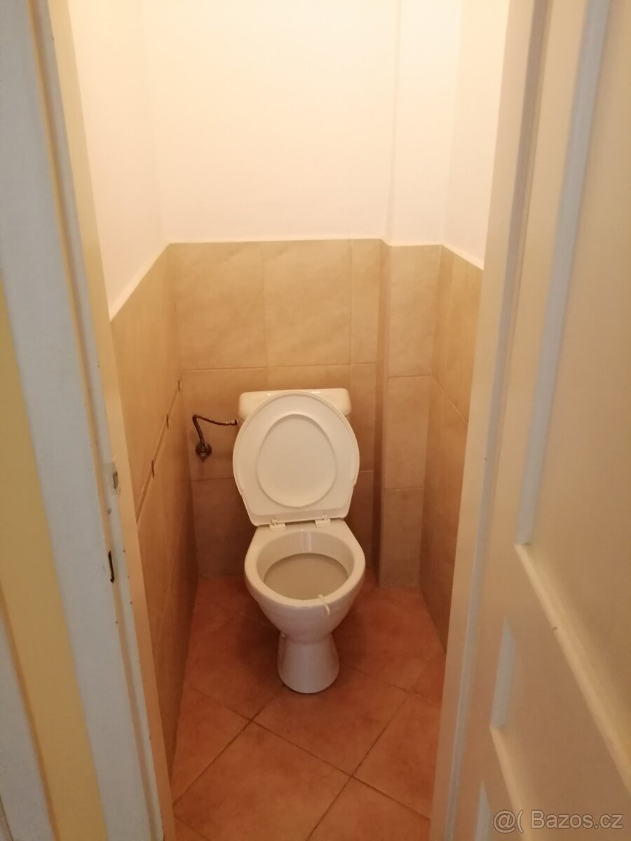 Pronájem 2+1, ulice Dornych, centrum (u Vaňkovky), 60 m2, ko - 8