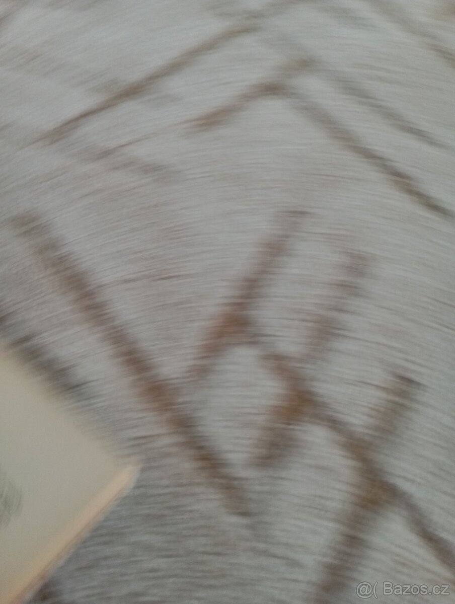 Sylvia Brinton Perera: Sestup k Bohyni - 8