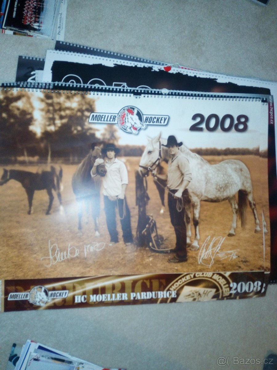 HC Dynamo Pardubice - 8