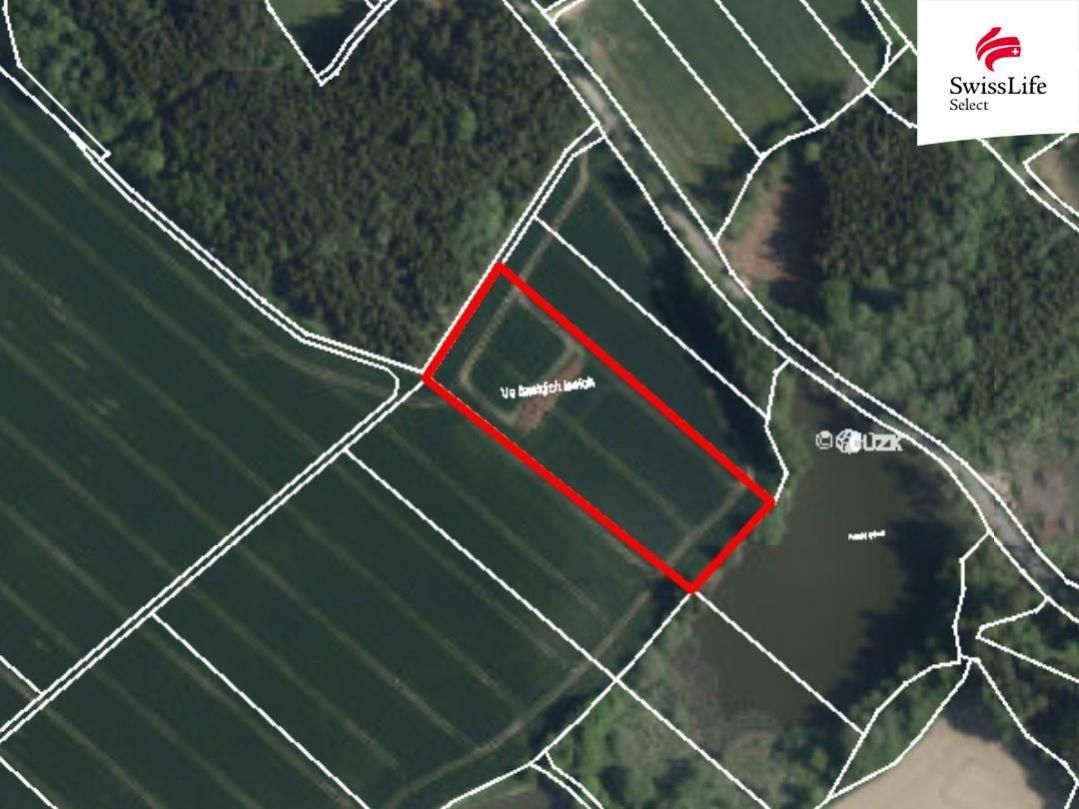 Prodej pole 34564 m2 Růžená - 8