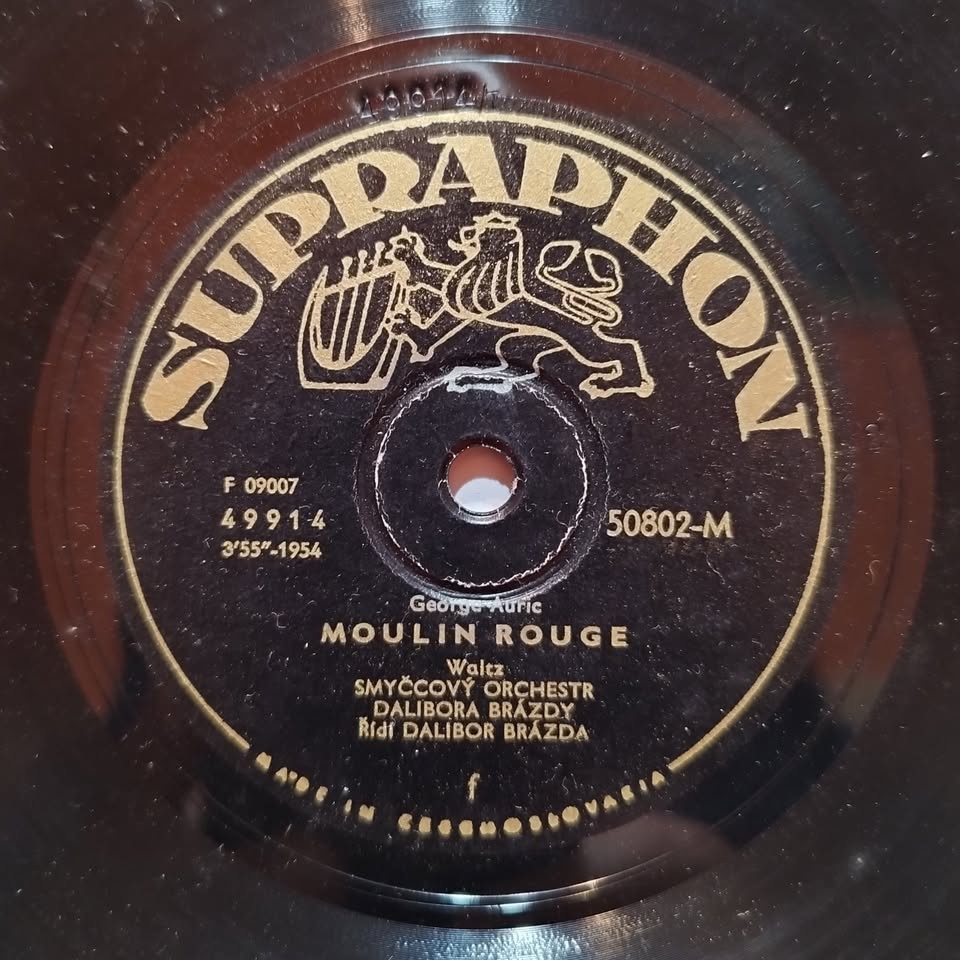 Prodým tyto 5 šelakových desek - 8