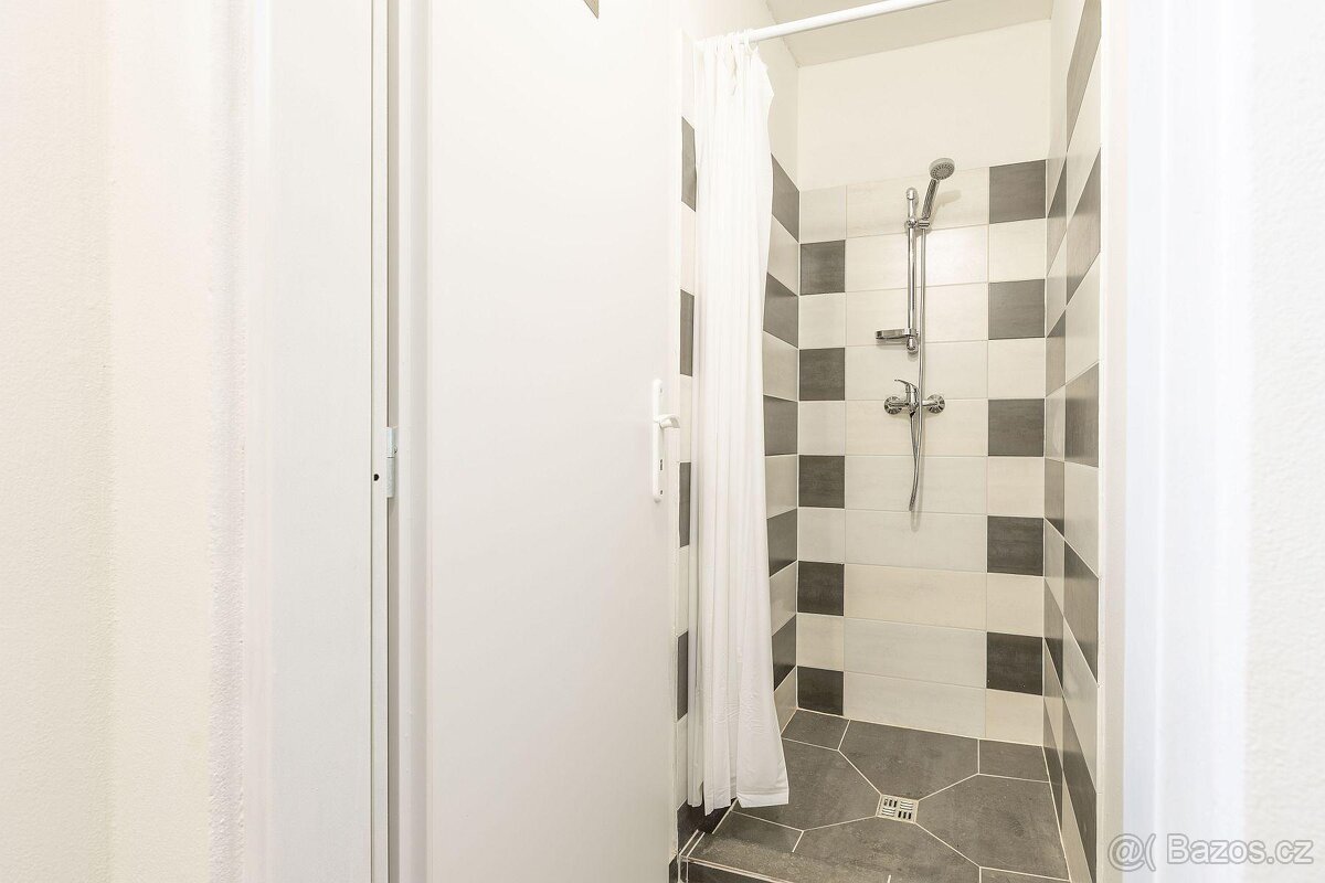 Pronájem komerčních prostor Zámrsk - 8