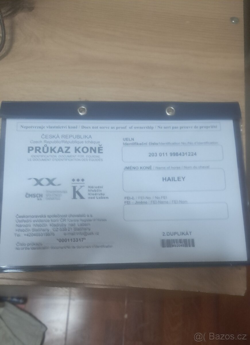 Predam 2rocnu kobylku z pásom - 8