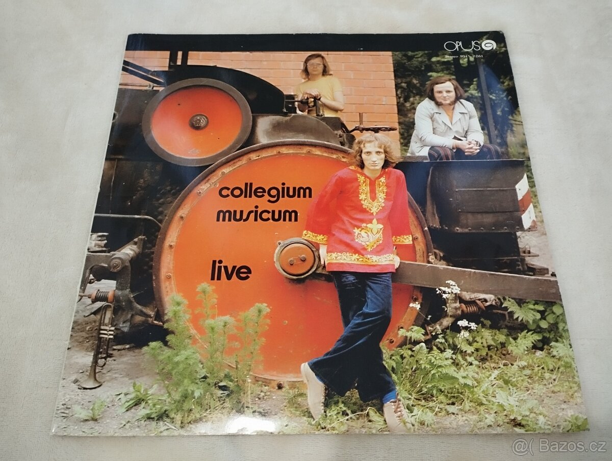 LP Vinyl od 280 Kč - 8