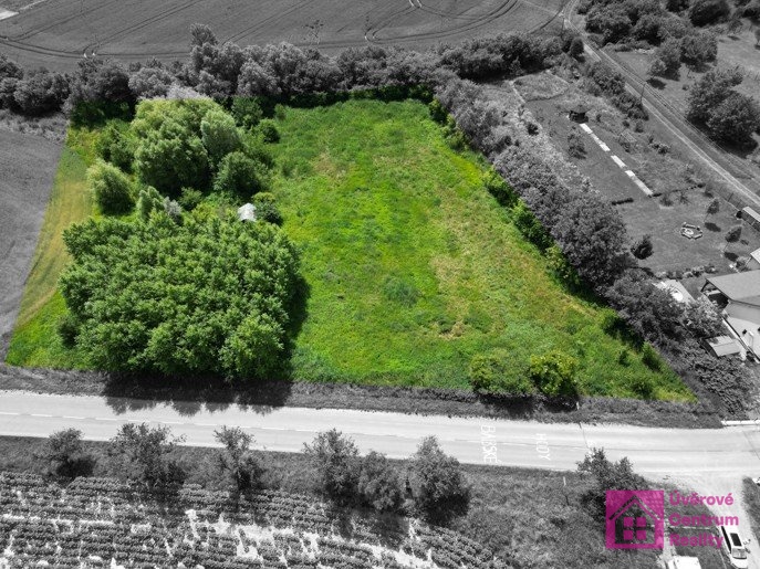 Prodej stavebního pozemku, 7 284 m², Diváky, ev.č. 00112 - 8