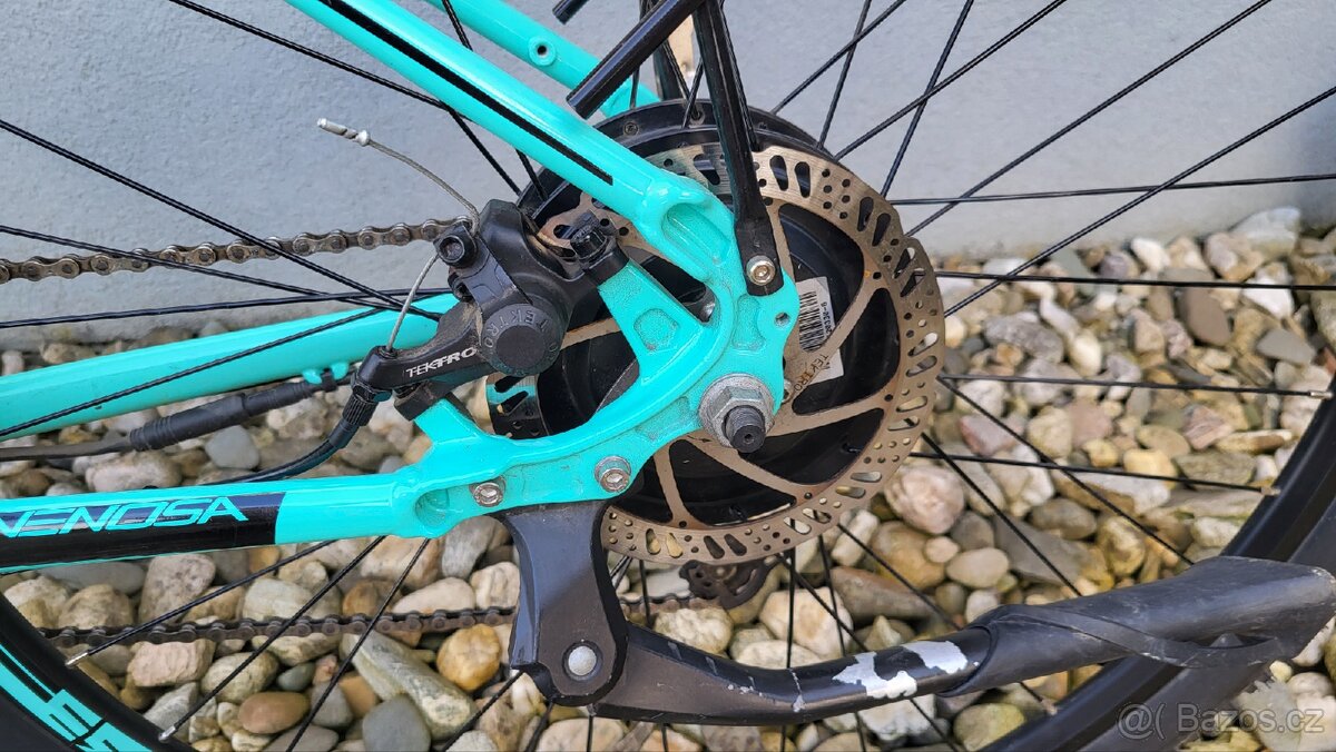 Leader Fox Venosa - 8